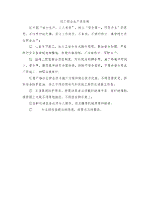 砼工安全生产责任制.docx