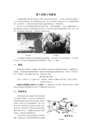 第十四章D核聚变.docx
