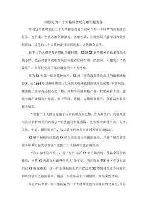 街道党工委：让党的二十大精神基层落地生根发芽.docx