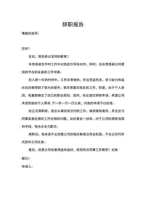 辞职报告.docx