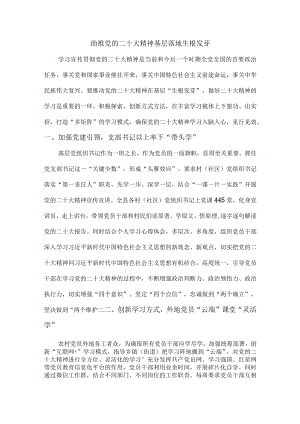 基层多举措推动党的二十大精神落地生根.docx