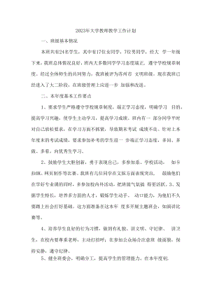 2023年大学教师教学工作计划 (最新三篇).docx