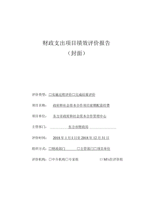 财政支出项目绩效评价报告.docx