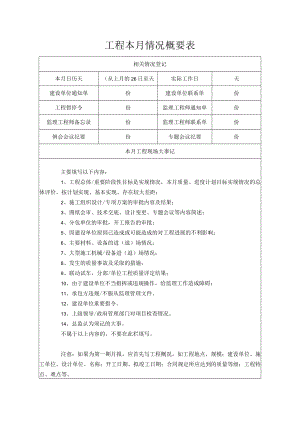 工程本月情况概要表.docx
