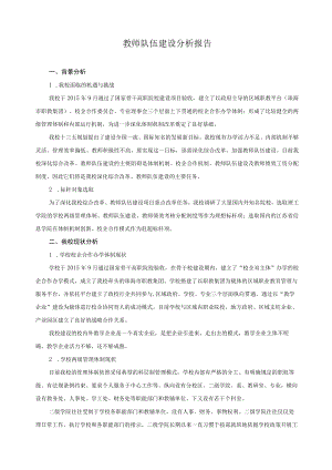 教师队伍建设分析报告.docx