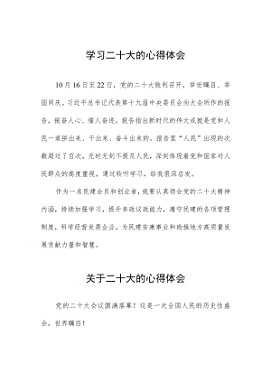 二十大心得体会范文精选.docx