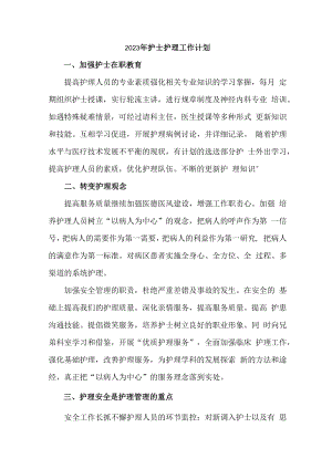 2023年护士护理工作计划 (模板三份).docx