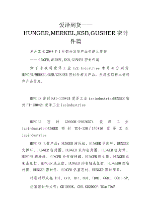 爱泽到货——HUNGER,MERKEL,KSB,GUSHER密封件篇.docx