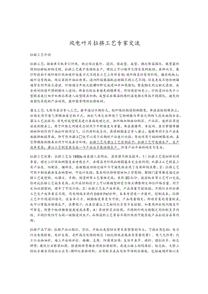 风电叶片拉挤工艺专家交流.docx