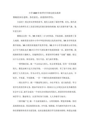 公立小学2023年春季开学典礼校长致辞.docx
