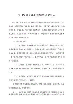 部门整体支出自我绩效评价报告.docx