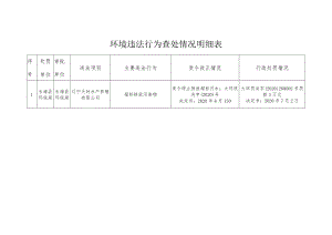 行政处罚情况环境违法行为查处情况明细表.docx