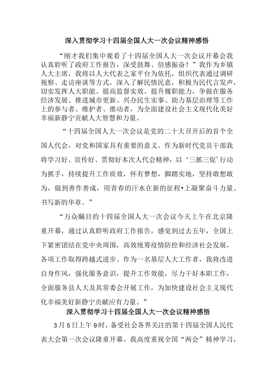 公安派出所深入贯彻学习十四届全国人大一次会议心得体会感悟(新编4份).docx_第1页