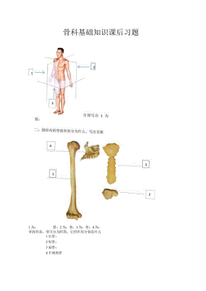 骨科基础知识课后习题.docx