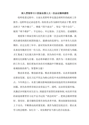 基层个人深入贯彻2023年全国“两会”会议精神心得感悟6篇 (模板).docx