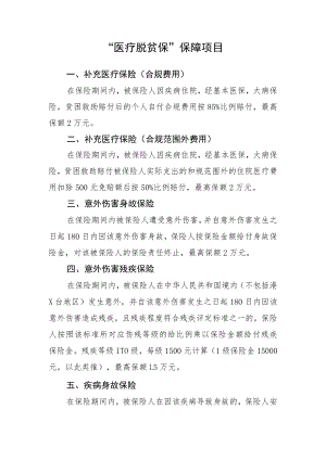 “医疗脱贫保”保障项目.docx