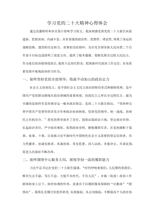 交警支队组织学习党的二十大精神心得体会.docx
