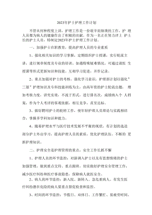 2023年护士护理工作计划 (精品三份).docx