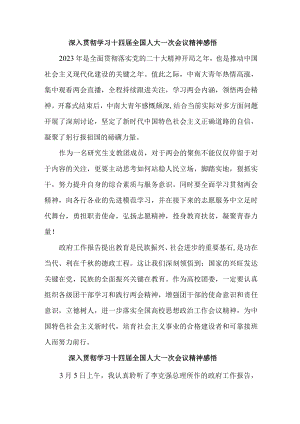 大学生《深入贯彻学习十四届全国人大》一次会议精神心得领悟 汇编4份.docx