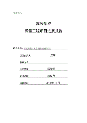 高等学校质量工程项目进展报告.docx
