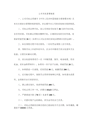 公司司机管理制度.docx
