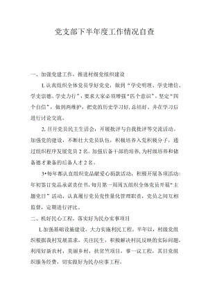 党支部下半年度工作情况自查.docx