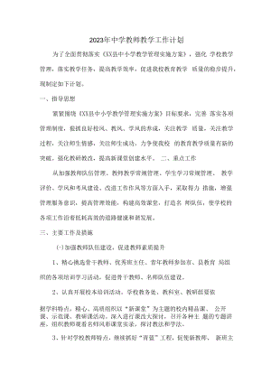 2023年中学老师个人教学工作计划.docx