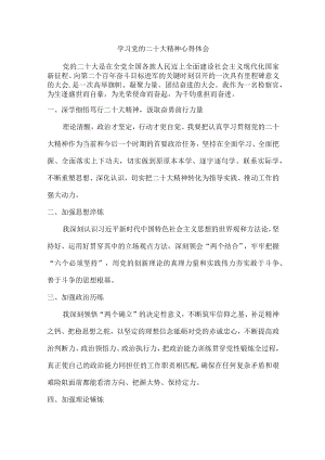 个人学习党二十大精神心得体会.docx