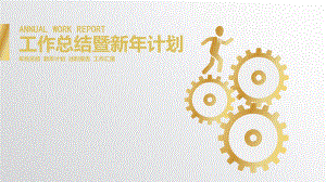 工作总结暨新计划.pptx
