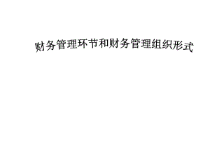 财务管理环节和财务管理组织形式.ppt