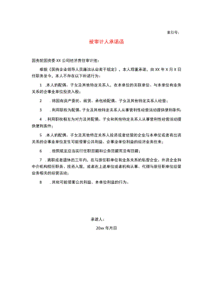 某集团经济责任审计项目被审计人承诺函.docx