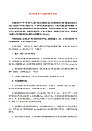 集团经济责任审计项目项目总结会提纲-新增.docx