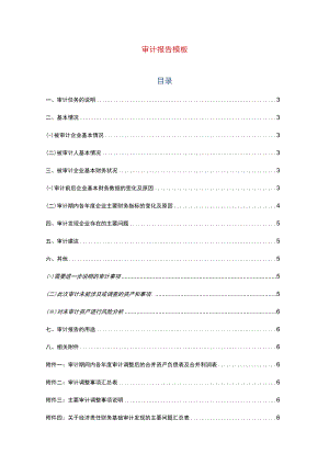 财务审计报告.docx