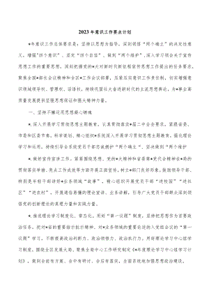 2023年意识工作要点计划.docx