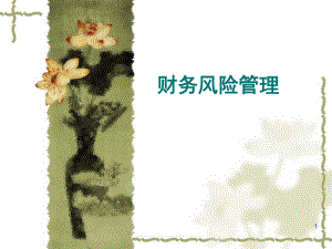 财务风险管理.ppt