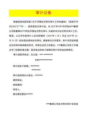 某集团经济责任审计公告-新增.docx