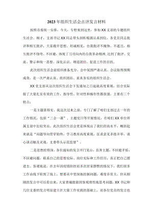 2023年组织生活会点评发言.docx