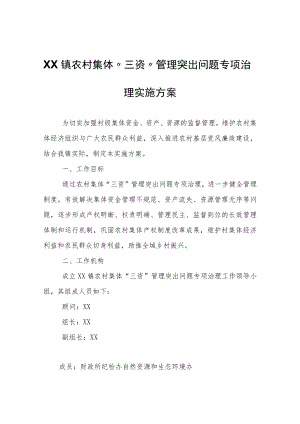 XX镇农村集体“三资”管理突出问题专项治理实施方案.docx