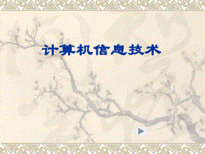 计算机信息技术(一).ppt