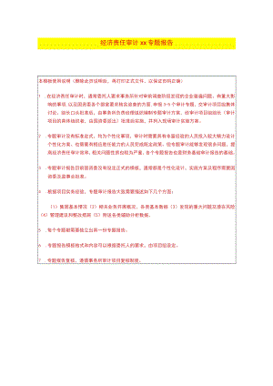 某集团经济责任审计项目专题审计报告.docx