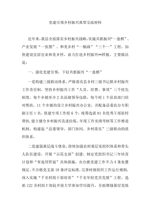 党建引领乡村振兴典型交流材料.docx