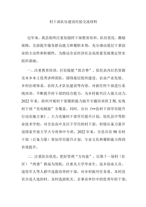 村干部队伍建设经验交流材料.docx