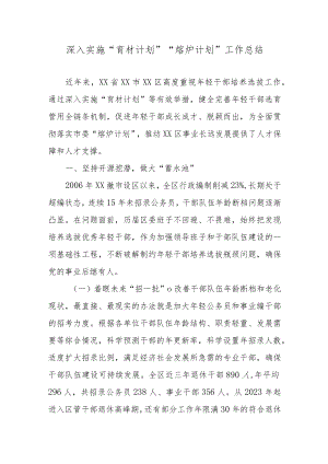 深入实施“育材计划”“熔炉计划”工作总结.docx