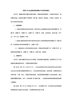 2023年山东省鲜食型甘薯生产技术指导意见.docx