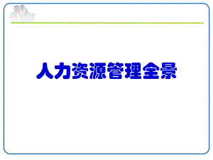 人力资源全景.ppt