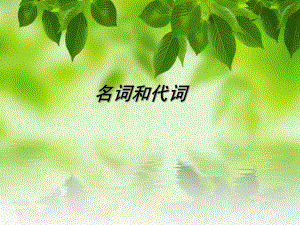 专升本名词和代词.ppt
