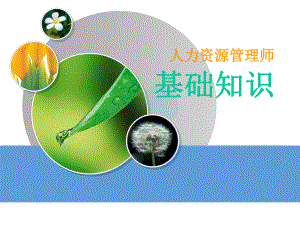 企业人力资源管理师(基础知识).ppt