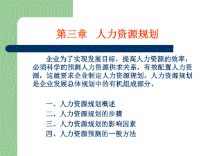 人力资源规划(9).ppt