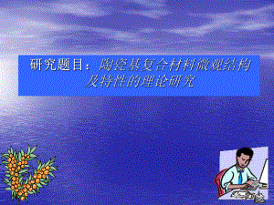 博士研究生开题报告.ppt