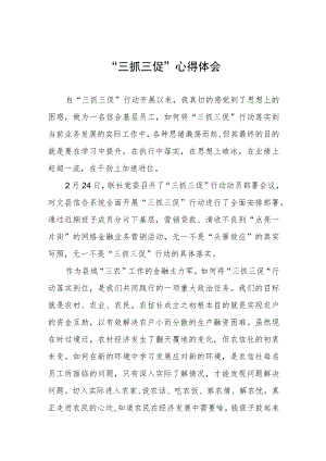 2023落实“三抓三促”行动心得体会三篇.docx